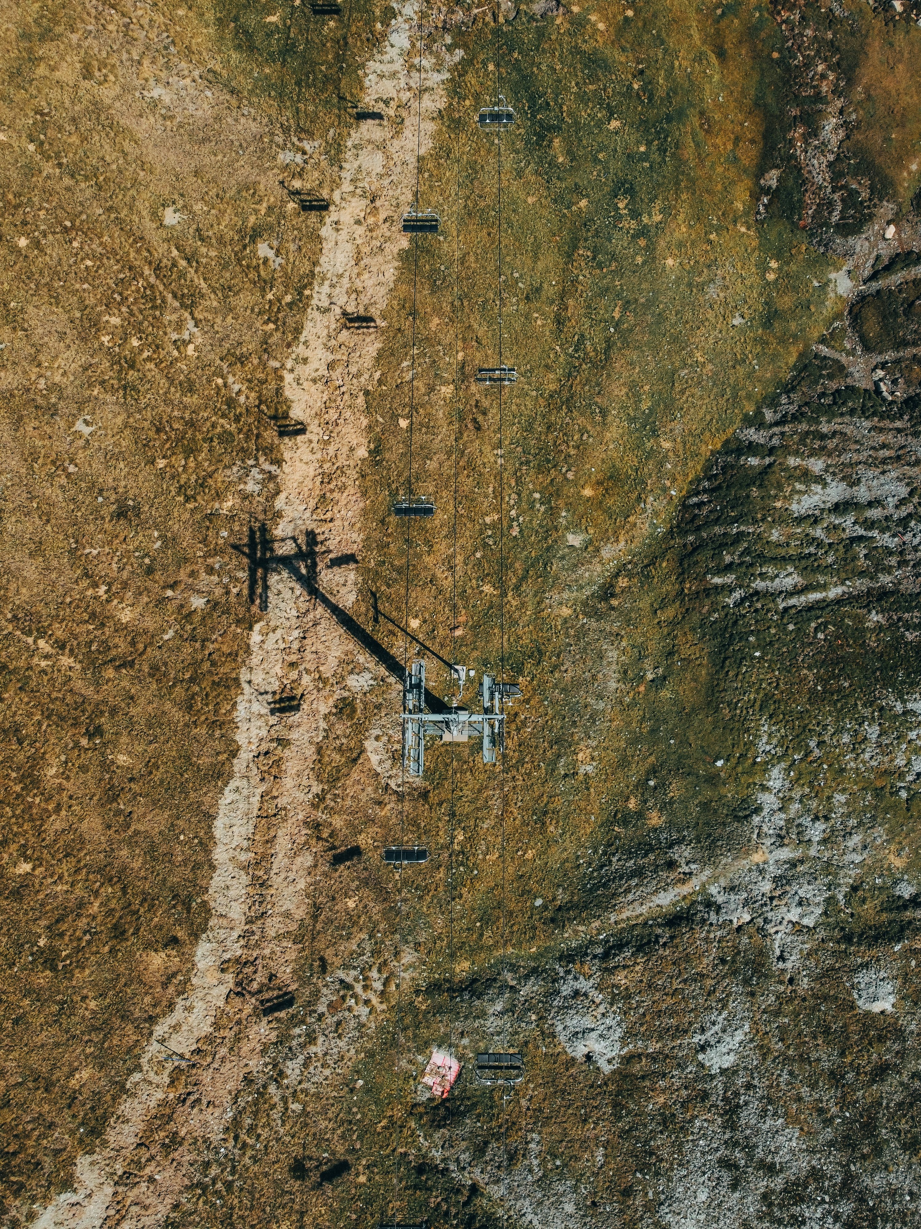Forest pixel