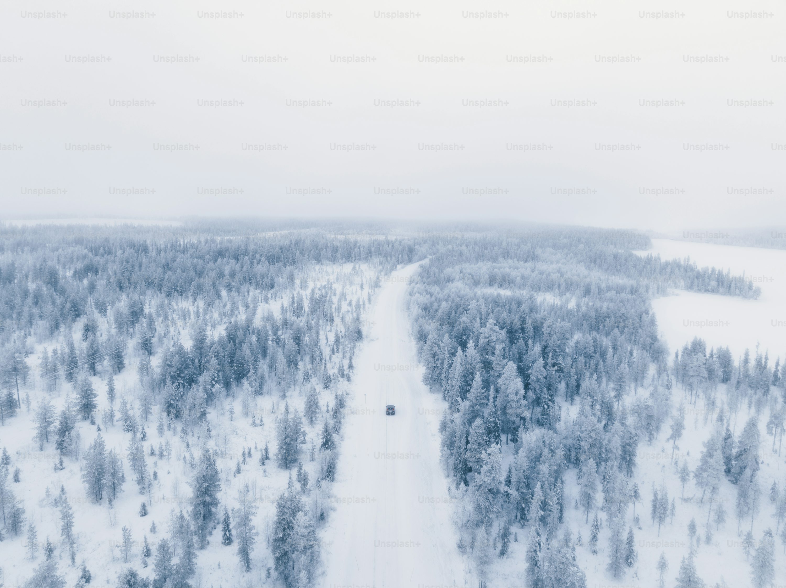 Forest pixel
