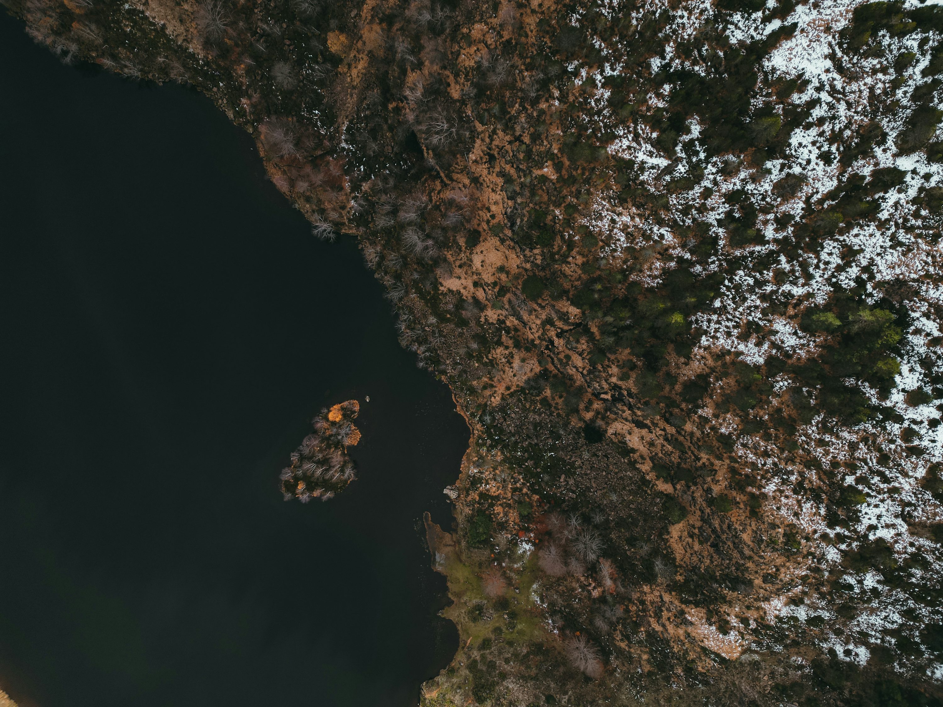 Forest pixel