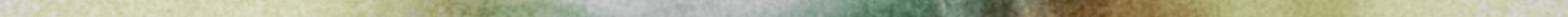 Forest pixel