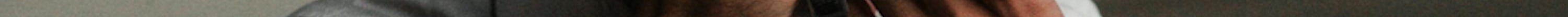 Forest pixel