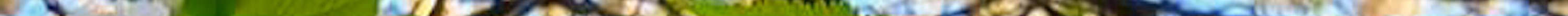 Forest pixel