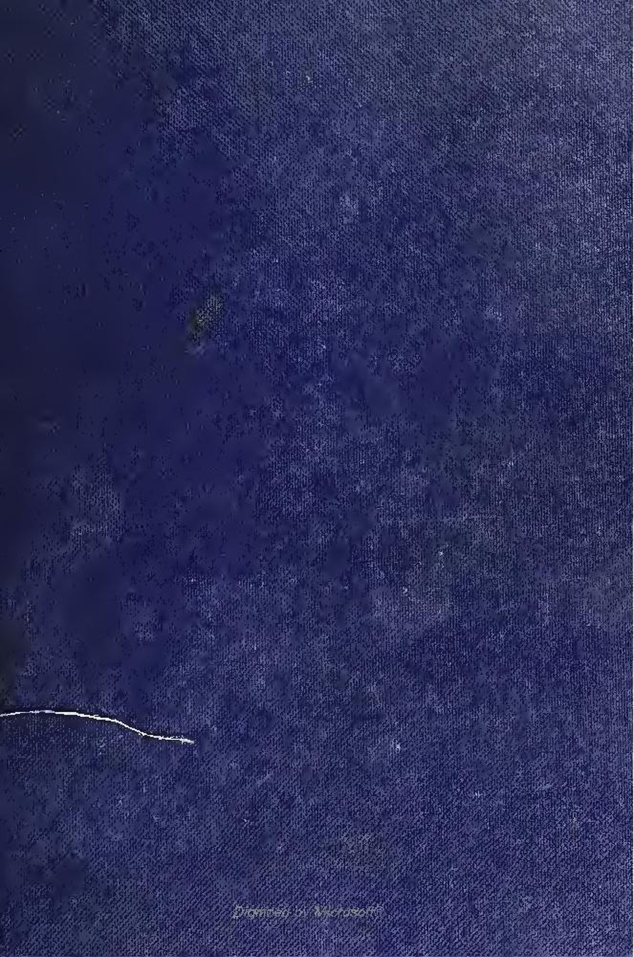 Forest pixel