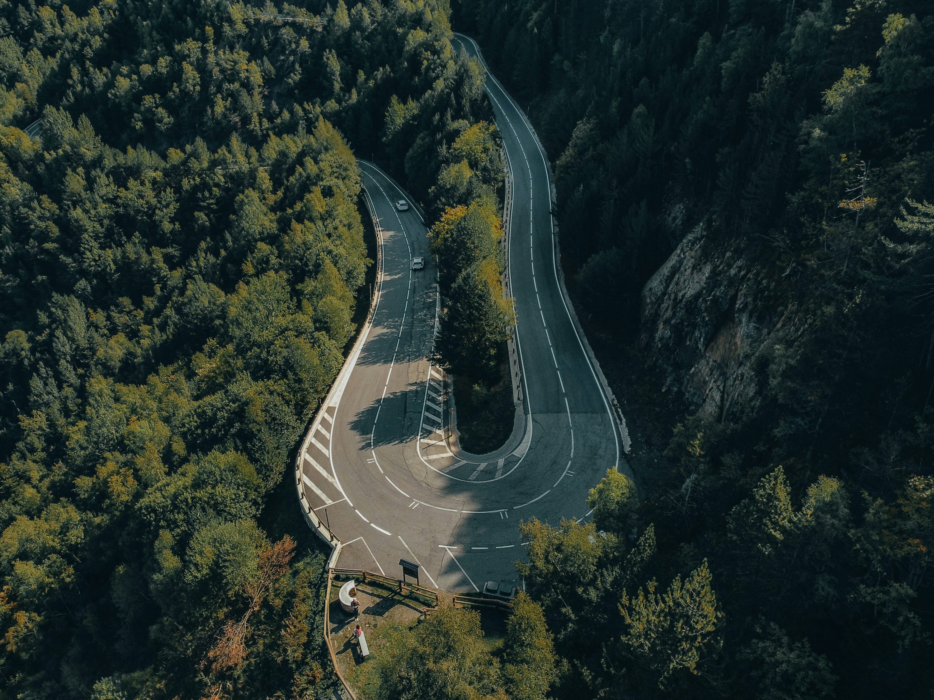 Forest pixel