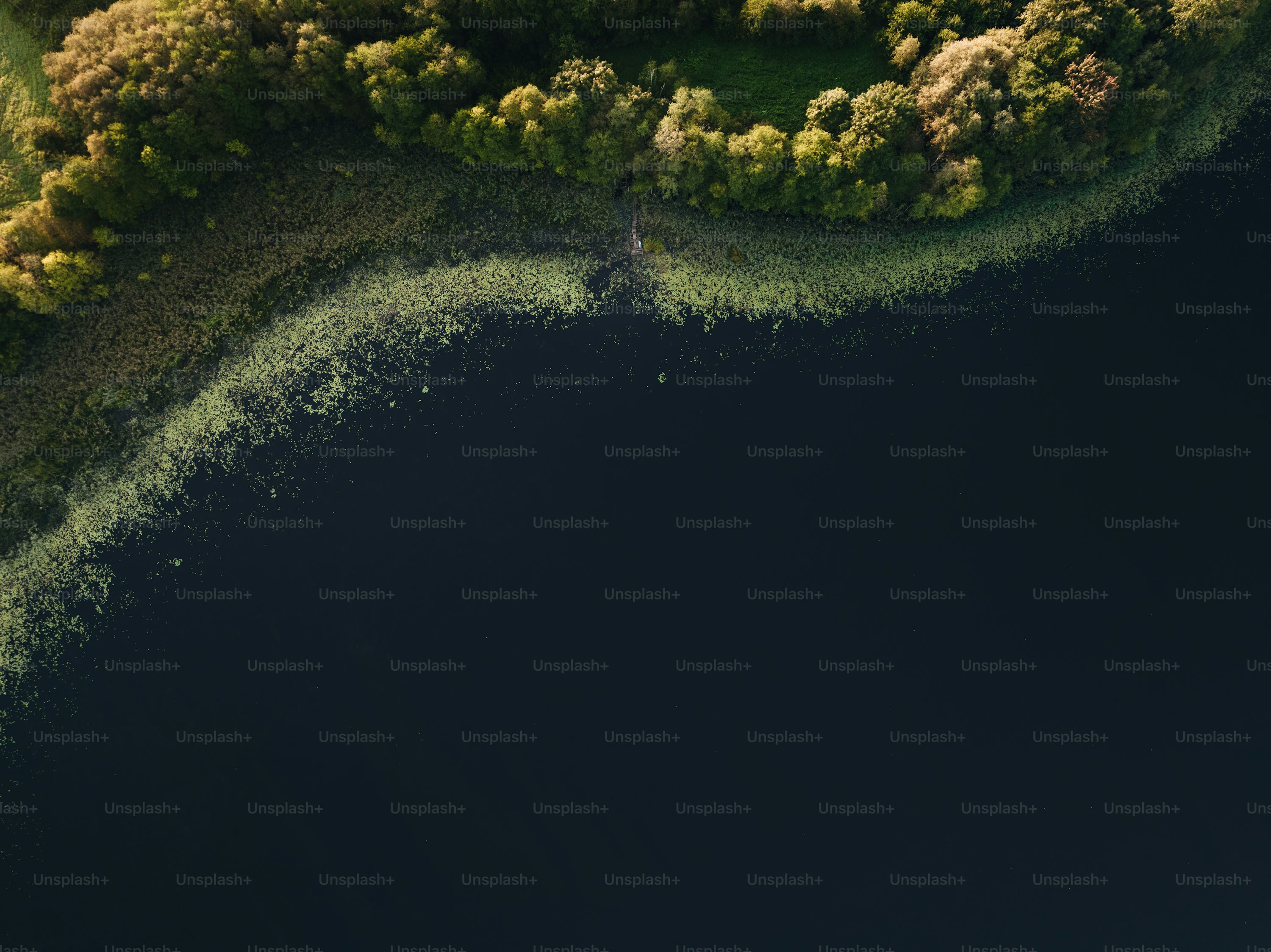 DJI 