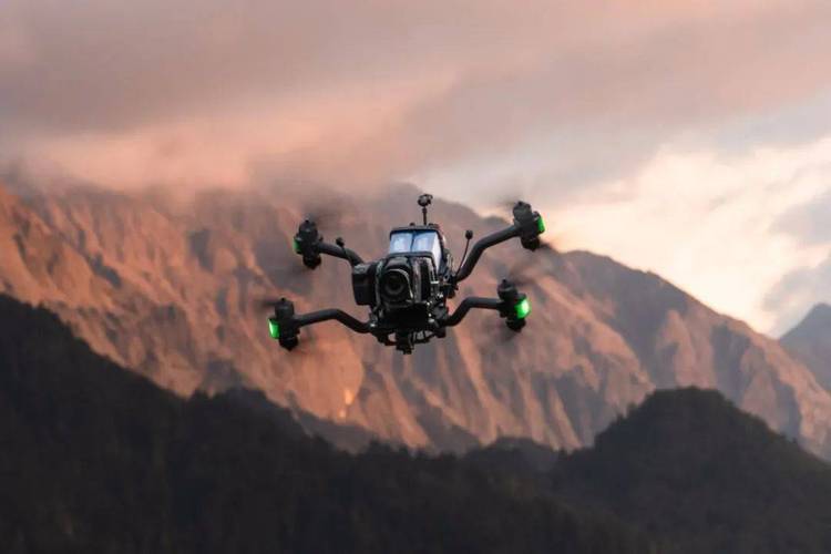 fpv d