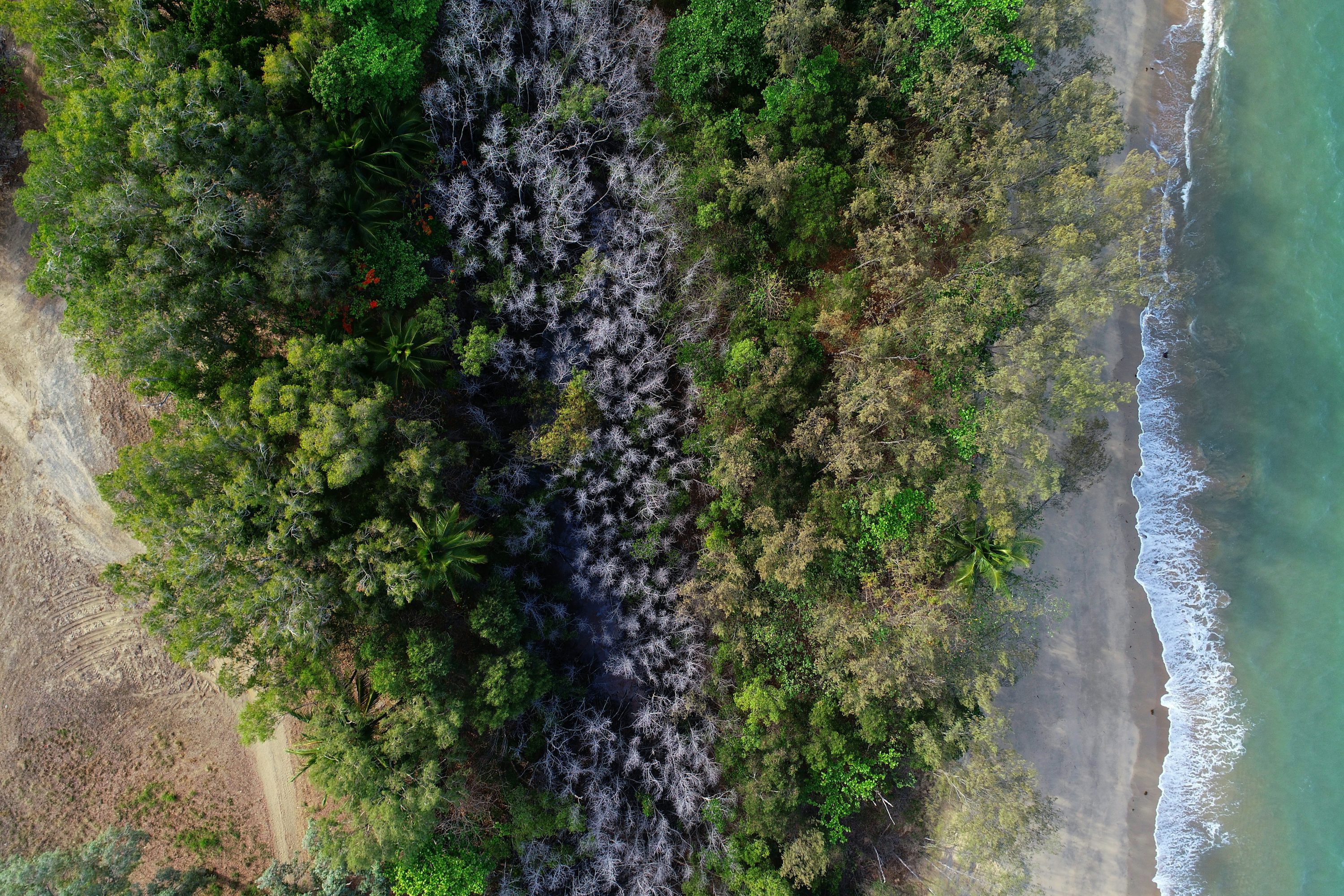 Mavic 