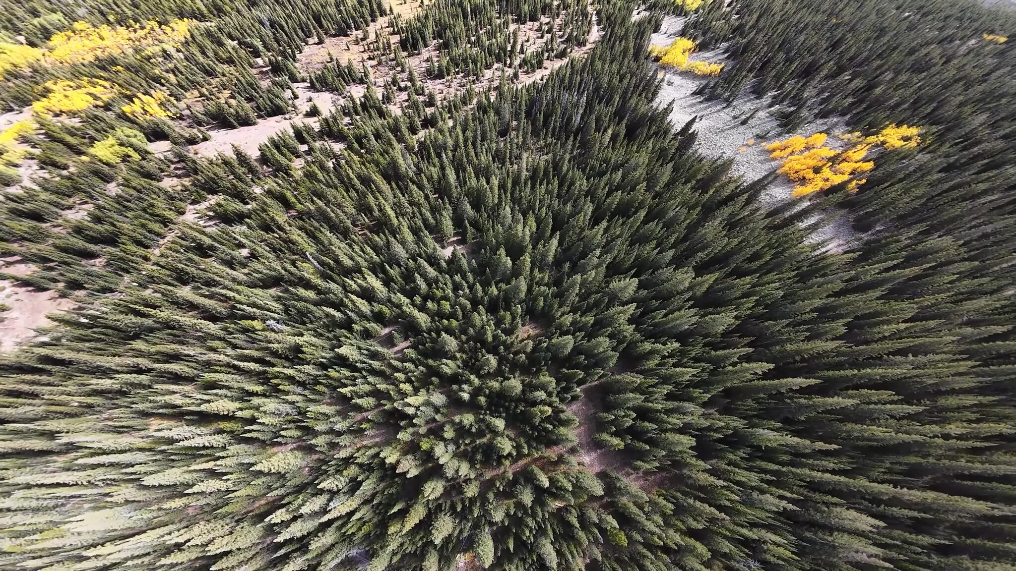 mi