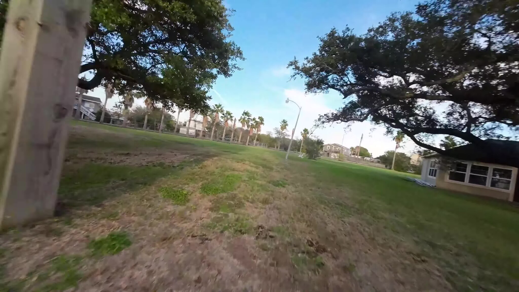 dron