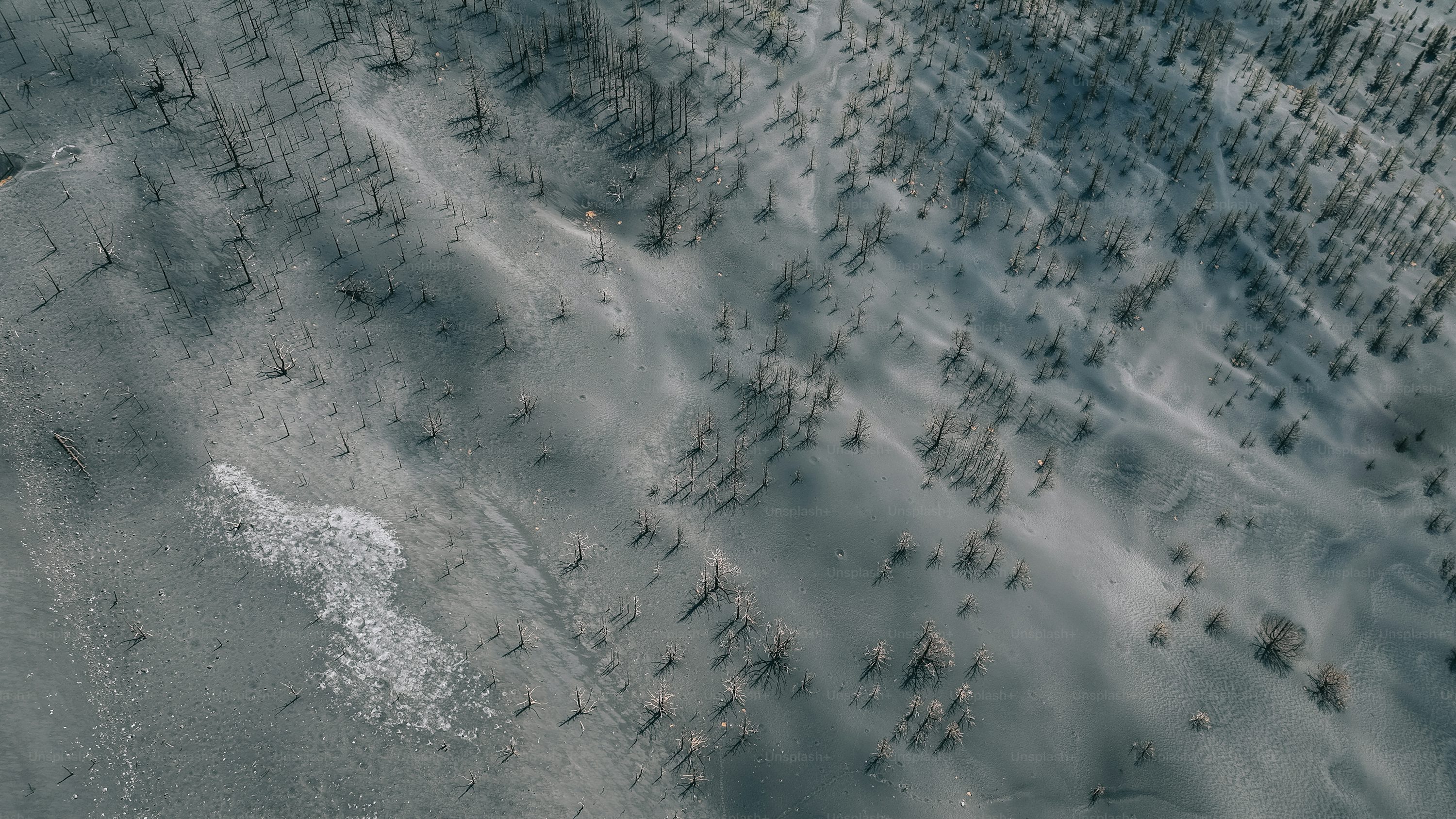 drones