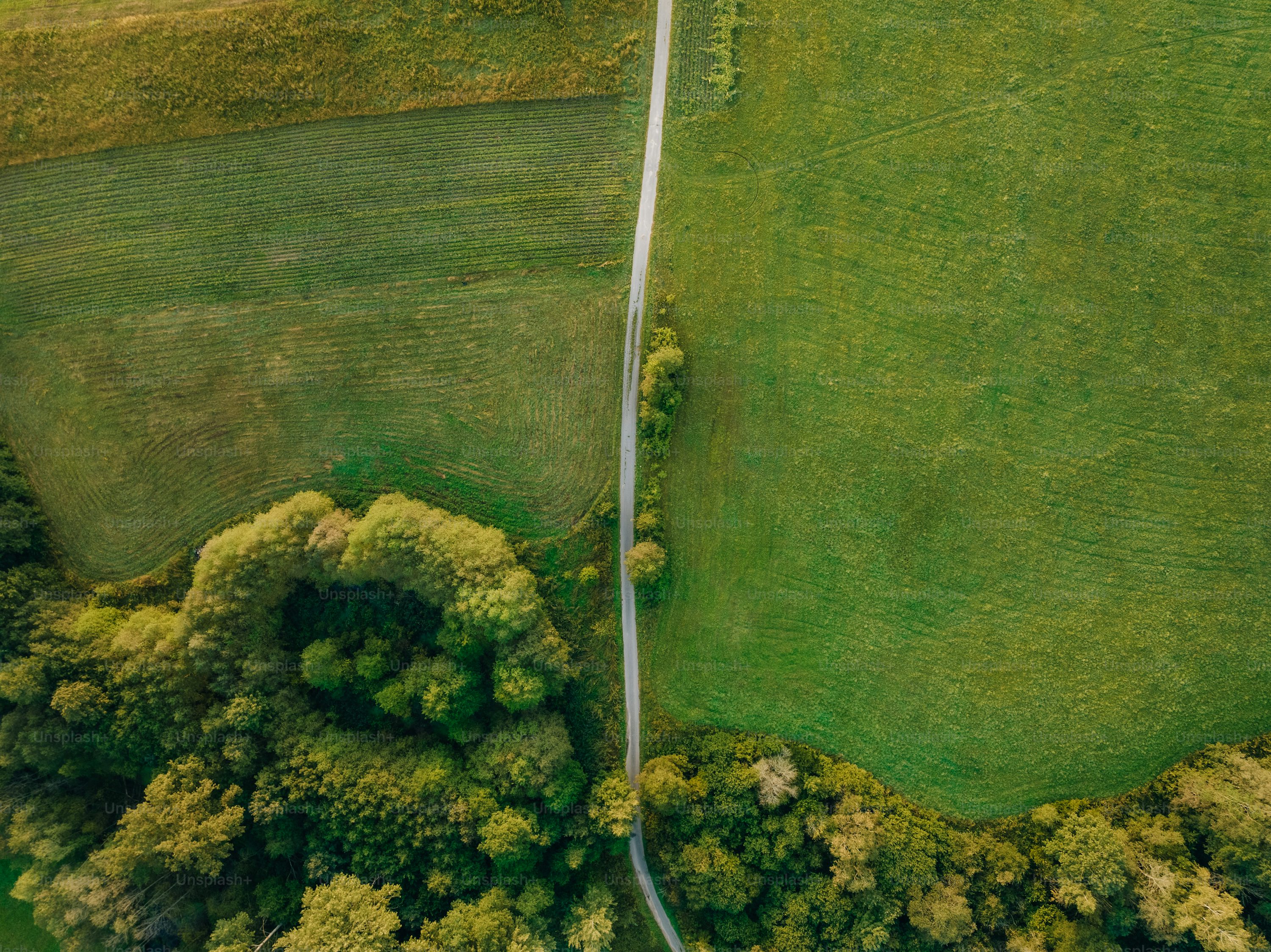 gps