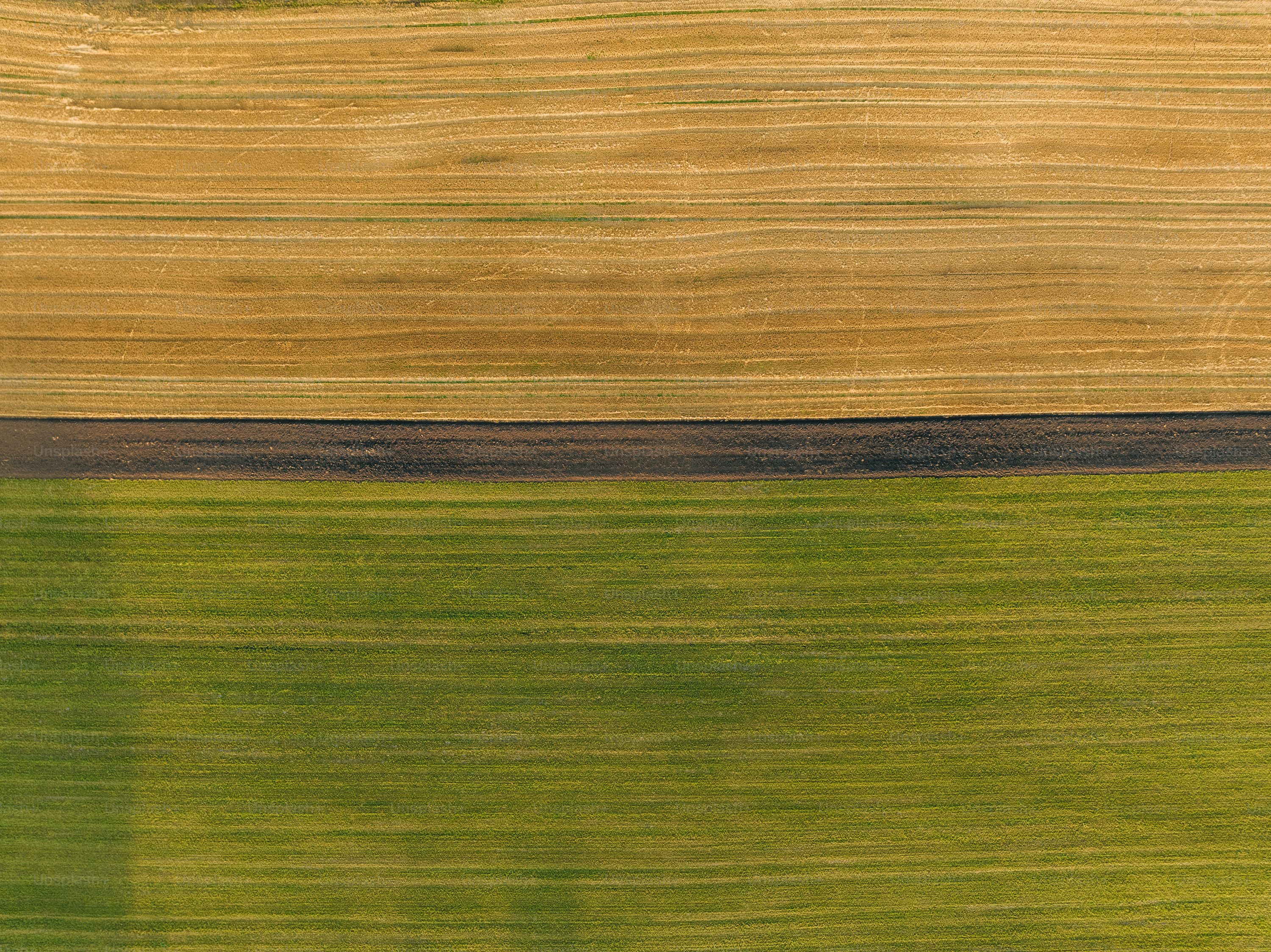 gps 