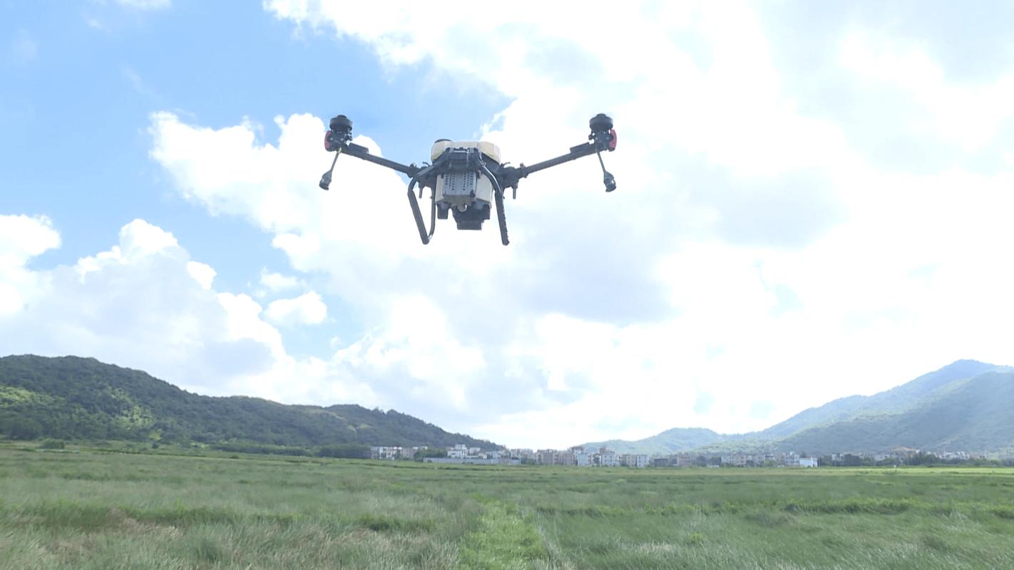 fpv 