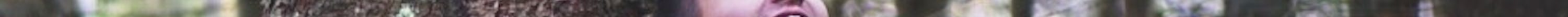 Pa