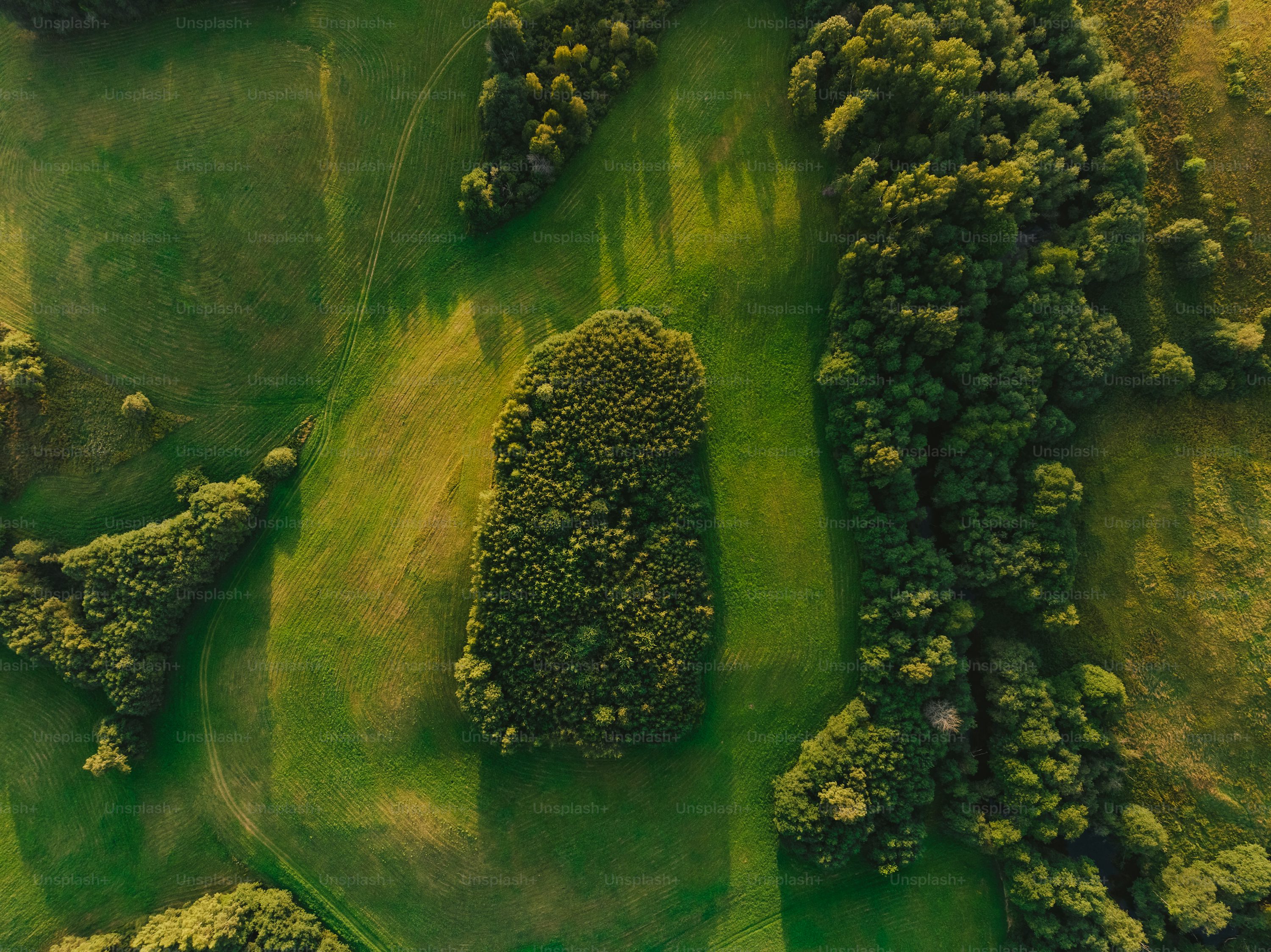 dron